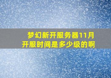 梦幻新开服务器11月开服时间是多少级的啊