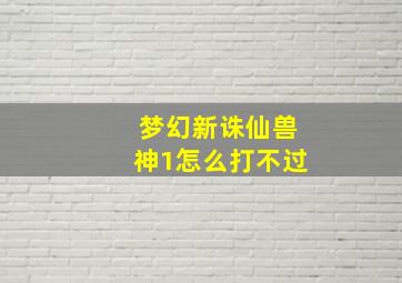 梦幻新诛仙兽神1怎么打不过