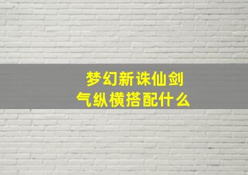 梦幻新诛仙剑气纵横搭配什么