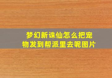 梦幻新诛仙怎么把宠物发到帮派里去呢图片