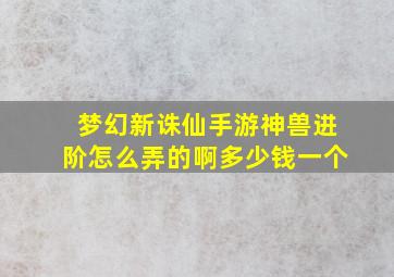 梦幻新诛仙手游神兽进阶怎么弄的啊多少钱一个