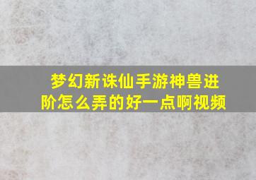 梦幻新诛仙手游神兽进阶怎么弄的好一点啊视频