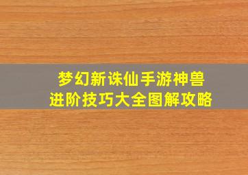 梦幻新诛仙手游神兽进阶技巧大全图解攻略