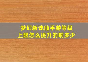 梦幻新诛仙手游等级上限怎么提升的啊多少