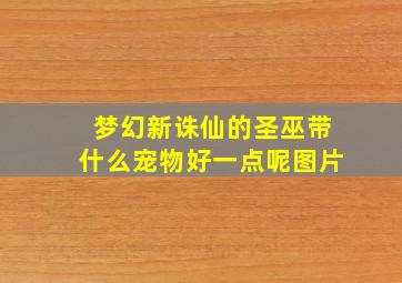 梦幻新诛仙的圣巫带什么宠物好一点呢图片