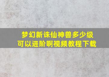 梦幻新诛仙神兽多少级可以进阶啊视频教程下载