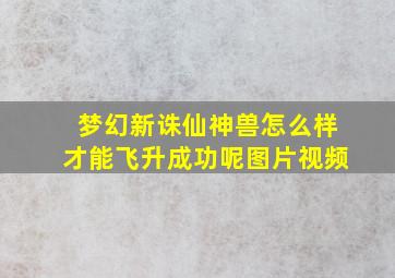 梦幻新诛仙神兽怎么样才能飞升成功呢图片视频