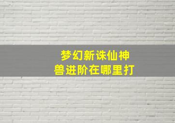 梦幻新诛仙神兽进阶在哪里打