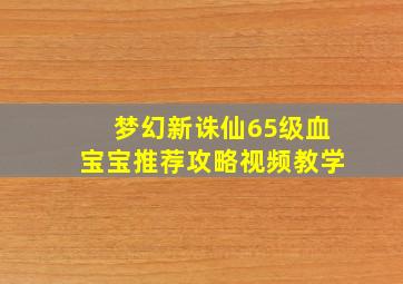 梦幻新诛仙65级血宝宝推荐攻略视频教学