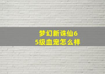 梦幻新诛仙65级血宠怎么样