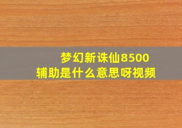 梦幻新诛仙8500辅助是什么意思呀视频