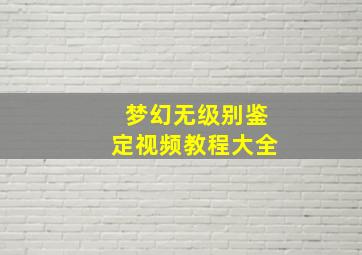 梦幻无级别鉴定视频教程大全