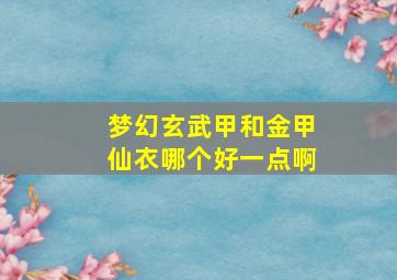 梦幻玄武甲和金甲仙衣哪个好一点啊