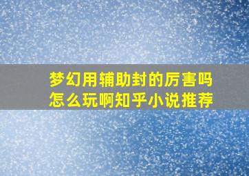 梦幻用辅助封的厉害吗怎么玩啊知乎小说推荐