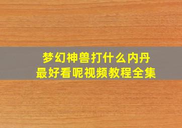 梦幻神兽打什么内丹最好看呢视频教程全集