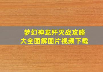 梦幻神龙歼灭战攻略大全图解图片视频下载