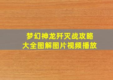 梦幻神龙歼灭战攻略大全图解图片视频播放