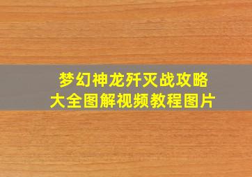 梦幻神龙歼灭战攻略大全图解视频教程图片