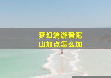 梦幻端游普陀山加点怎么加