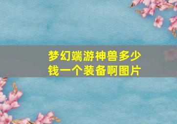 梦幻端游神兽多少钱一个装备啊图片