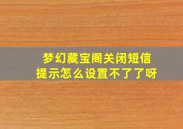 梦幻藏宝阁关闭短信提示怎么设置不了了呀