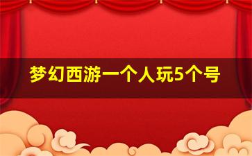 梦幻西游一个人玩5个号