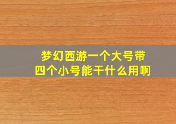 梦幻西游一个大号带四个小号能干什么用啊