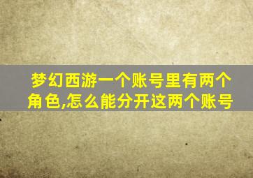 梦幻西游一个账号里有两个角色,怎么能分开这两个账号