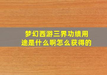 梦幻西游三界功绩用途是什么啊怎么获得的