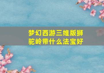 梦幻西游三维版狮驼岭带什么法宝好