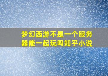 梦幻西游不是一个服务器能一起玩吗知乎小说