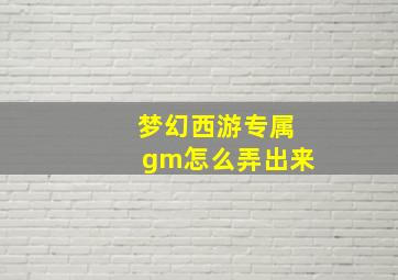 梦幻西游专属gm怎么弄出来