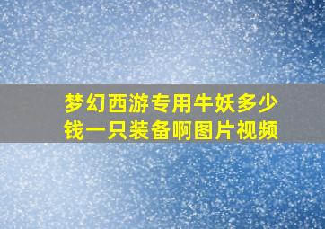 梦幻西游专用牛妖多少钱一只装备啊图片视频