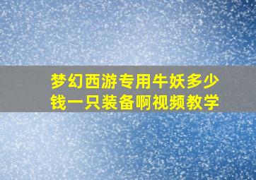 梦幻西游专用牛妖多少钱一只装备啊视频教学