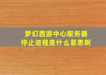 梦幻西游中心服务器停止进程是什么意思啊