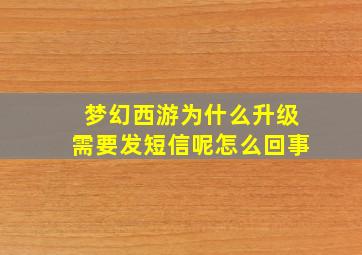 梦幻西游为什么升级需要发短信呢怎么回事