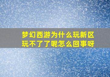 梦幻西游为什么玩新区玩不了了呢怎么回事呀