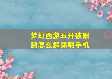 梦幻西游五开被限制怎么解除啊手机