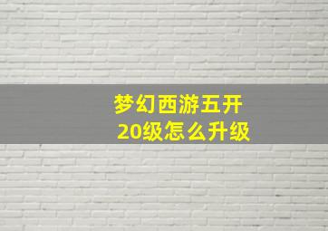 梦幻西游五开20级怎么升级