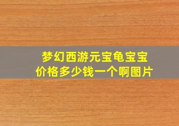 梦幻西游元宝龟宝宝价格多少钱一个啊图片