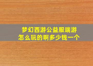 梦幻西游公益服端游怎么玩的啊多少钱一个