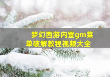 梦幻西游内置gm菜单破解教程视频大全