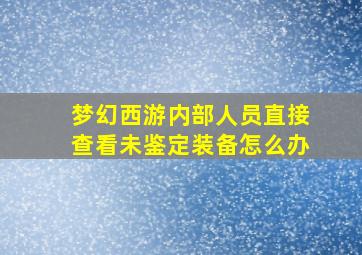 梦幻西游内部人员直接查看未鉴定装备怎么办