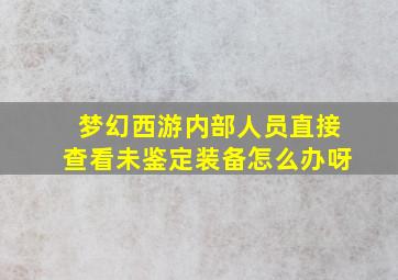 梦幻西游内部人员直接查看未鉴定装备怎么办呀