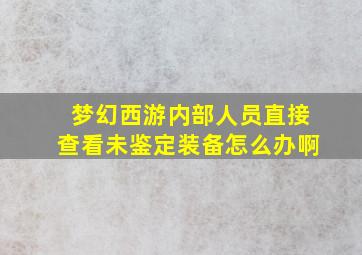 梦幻西游内部人员直接查看未鉴定装备怎么办啊