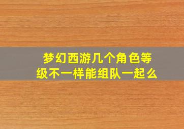 梦幻西游几个角色等级不一样能组队一起么