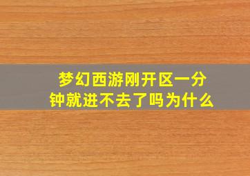 梦幻西游刚开区一分钟就进不去了吗为什么