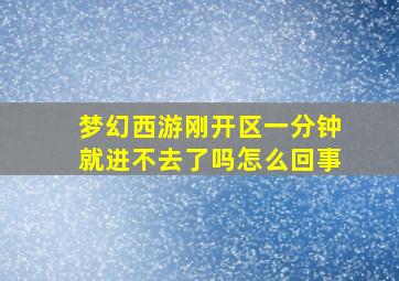 梦幻西游刚开区一分钟就进不去了吗怎么回事