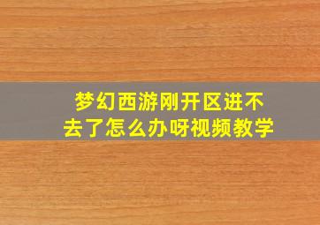 梦幻西游刚开区进不去了怎么办呀视频教学