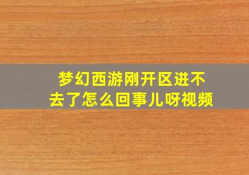 梦幻西游刚开区进不去了怎么回事儿呀视频